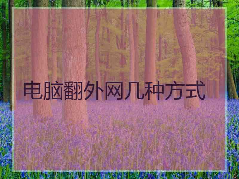 电脑翻外网几种方式