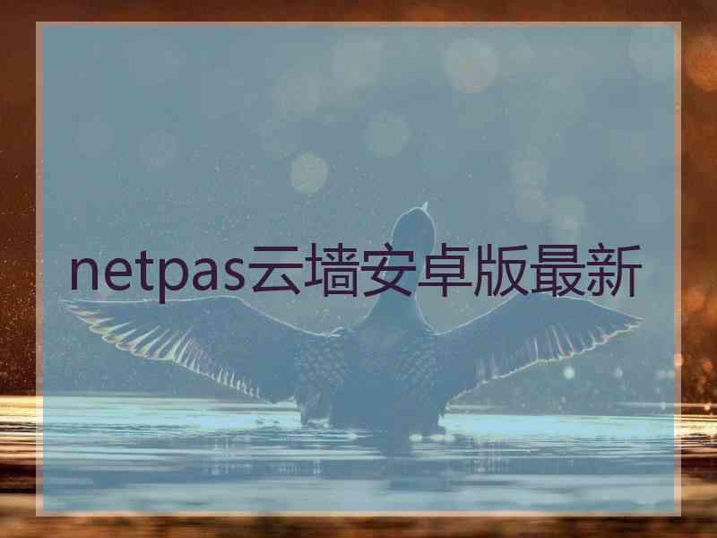 netpas云墙安卓版最新