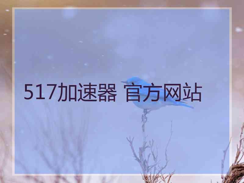 517加速器 官方网站