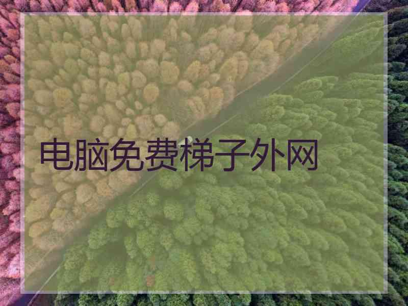 电脑免费梯子外网