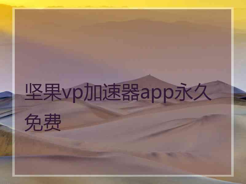 坚果vp加速器app永久免费