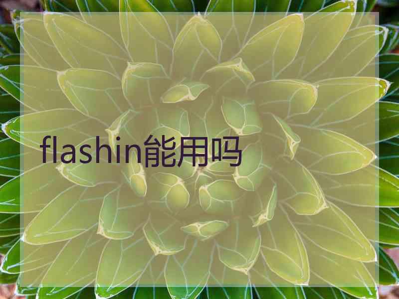 flashin能用吗