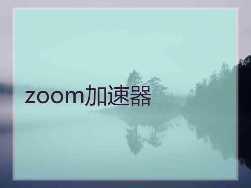 zoom加速器