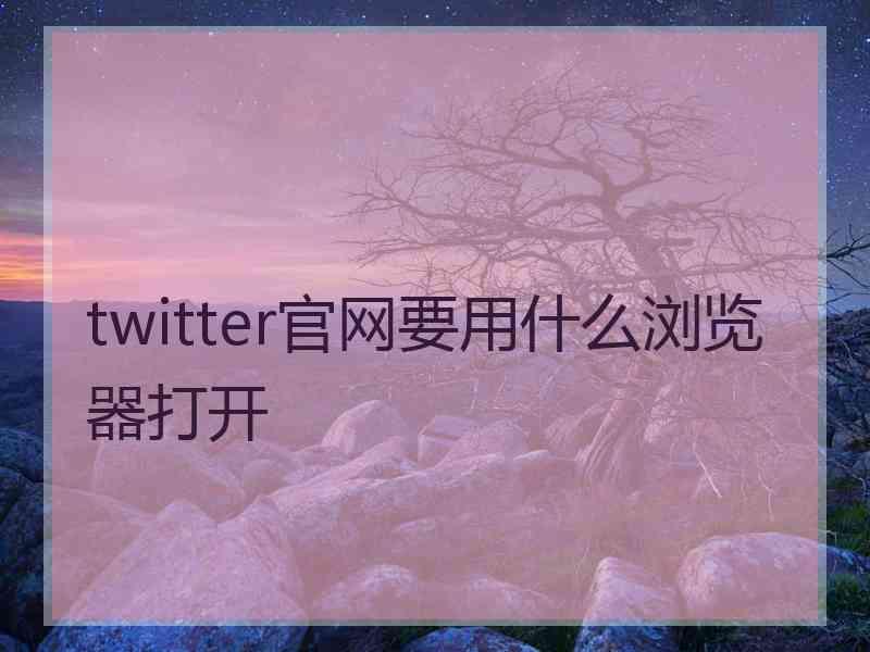 twitter官网要用什么浏览器打开