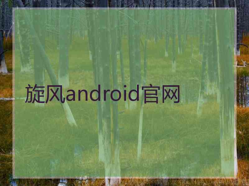 旋风android官网