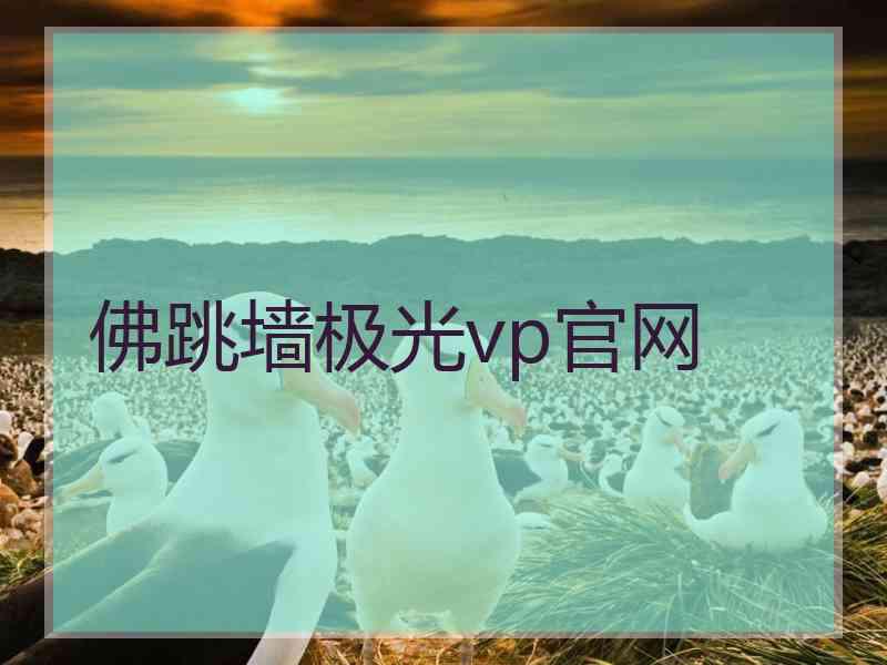 佛跳墙极光vp官网