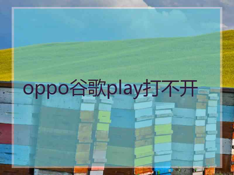 oppo谷歌play打不开