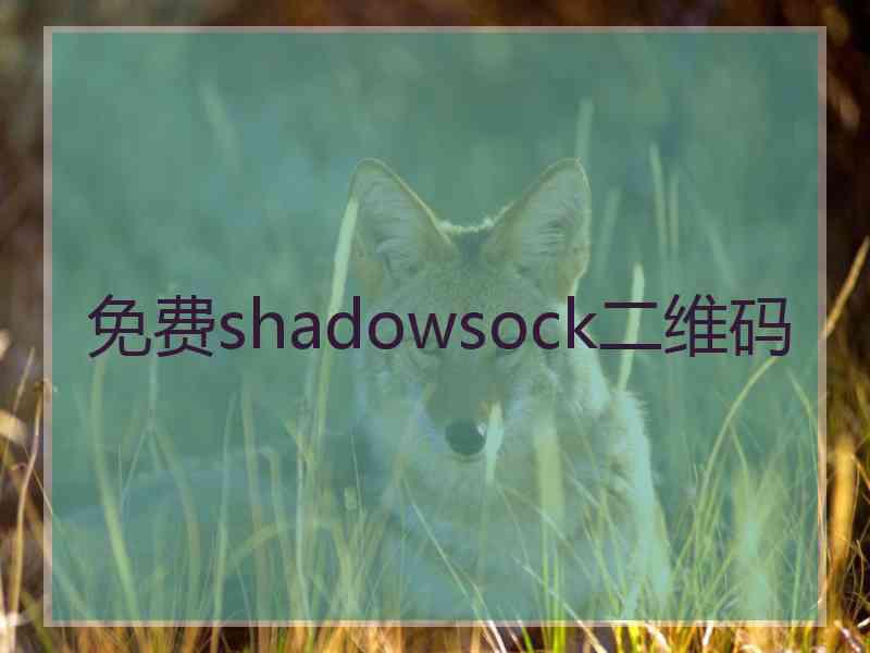 免费shadowsock二维码