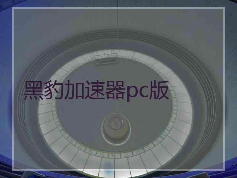 黑豹加速器pc版