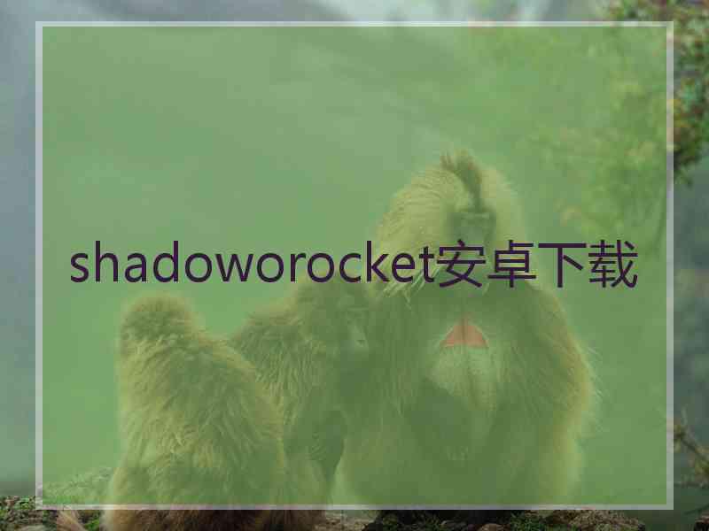 shadoworocket安卓下载