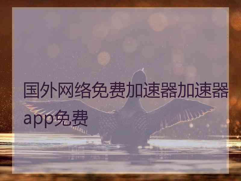 国外网络免费加速器加速器app免费