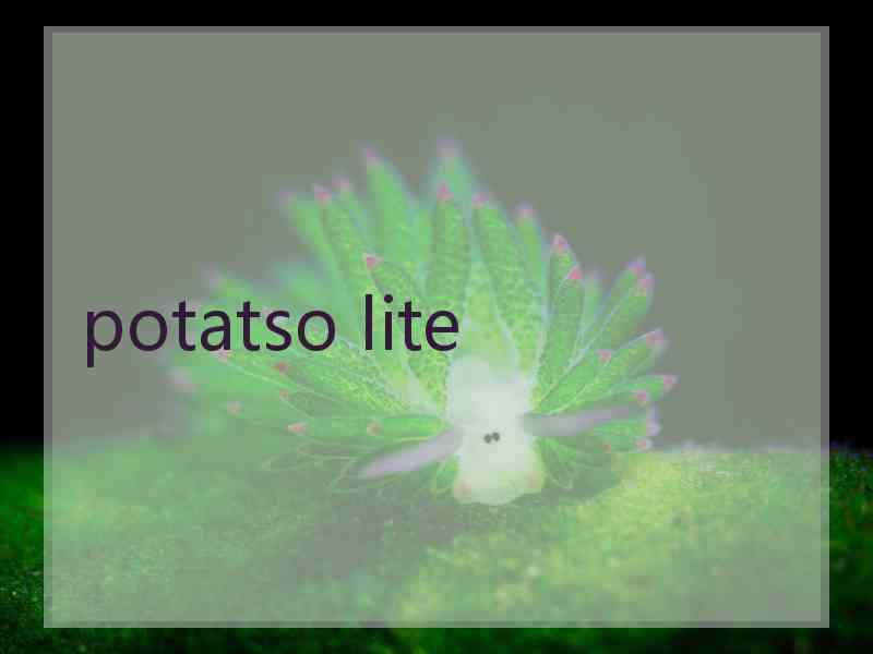 potatso lite