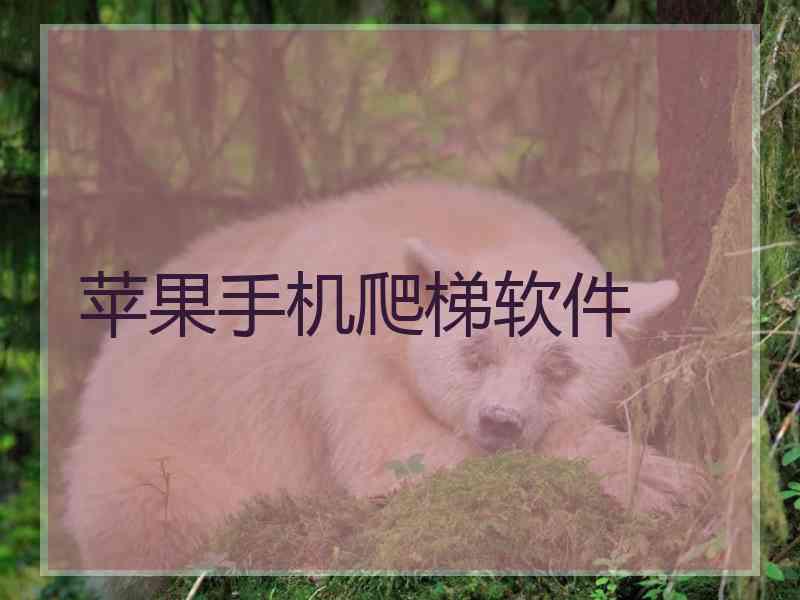 苹果手机爬梯软件