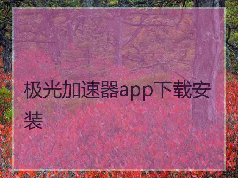 极光加速器app下载安装