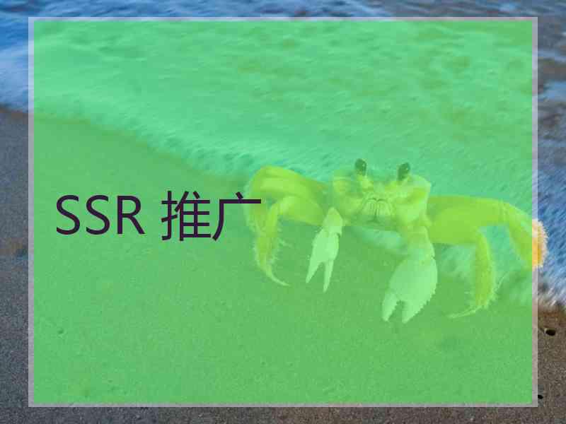 SSR 推广