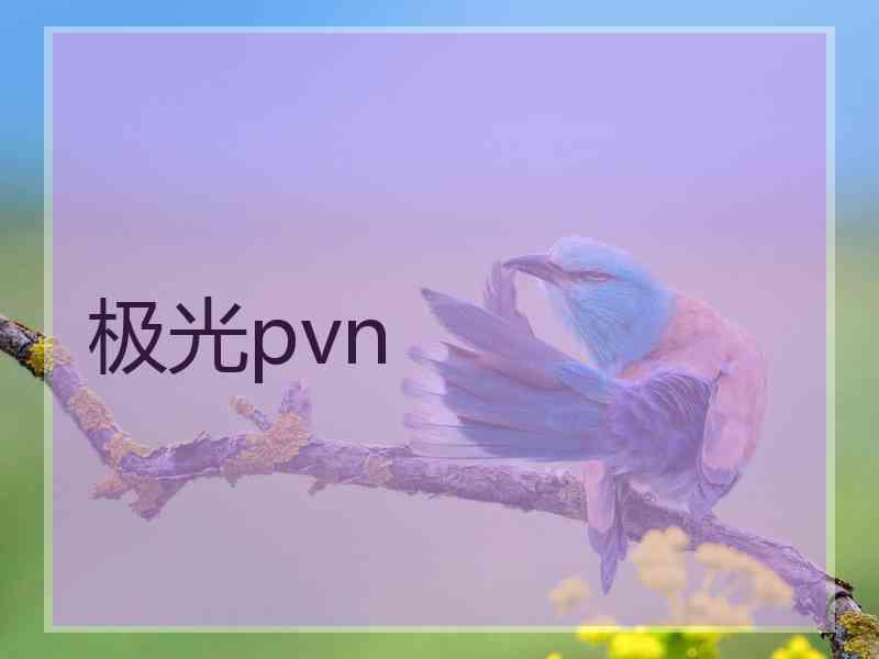 极光pvn