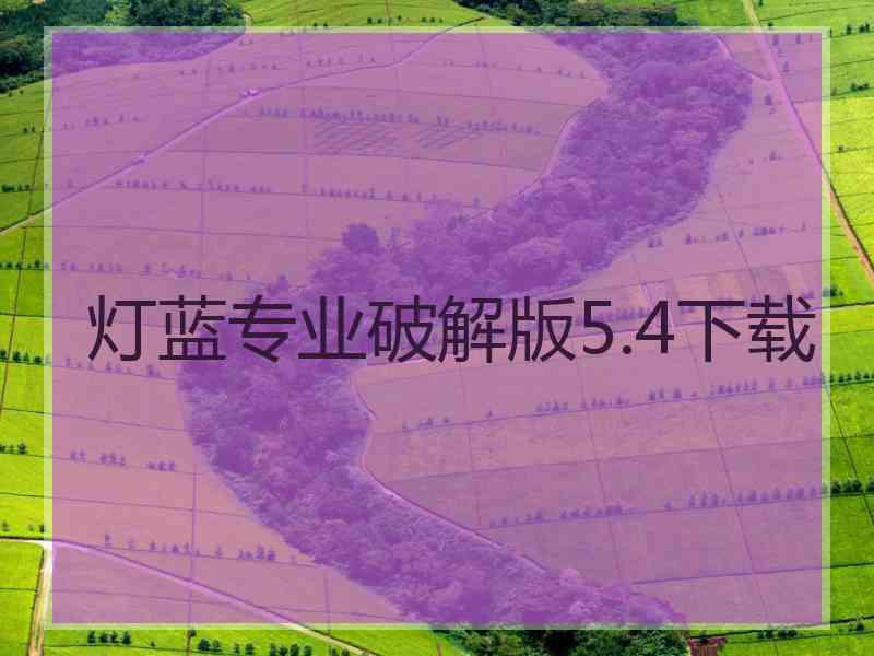 灯蓝专业破解版5.4下载