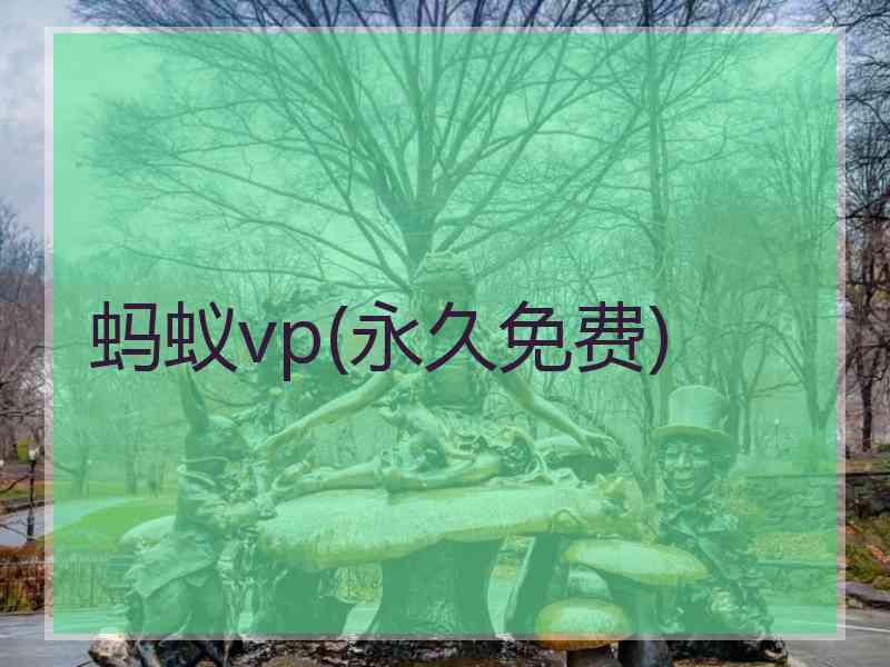 蚂蚁vp(永久免费)