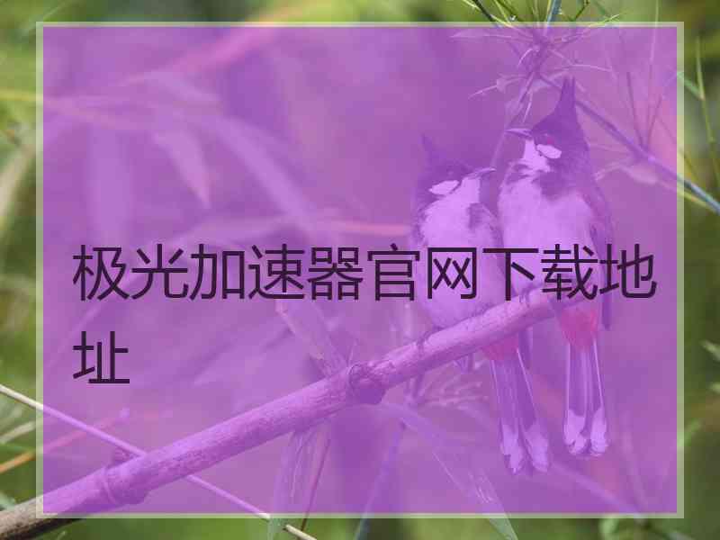 极光加速器官网下载地址