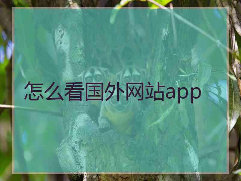 怎么看国外网站app