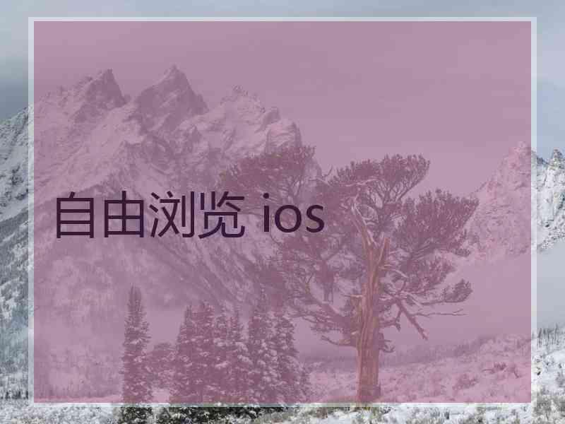 自由浏览 ios