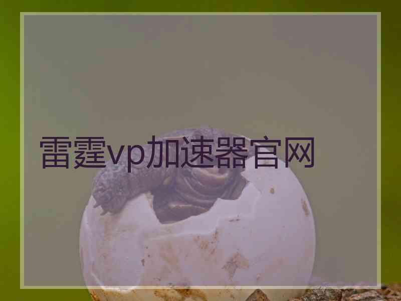 雷霆vp加速器官网