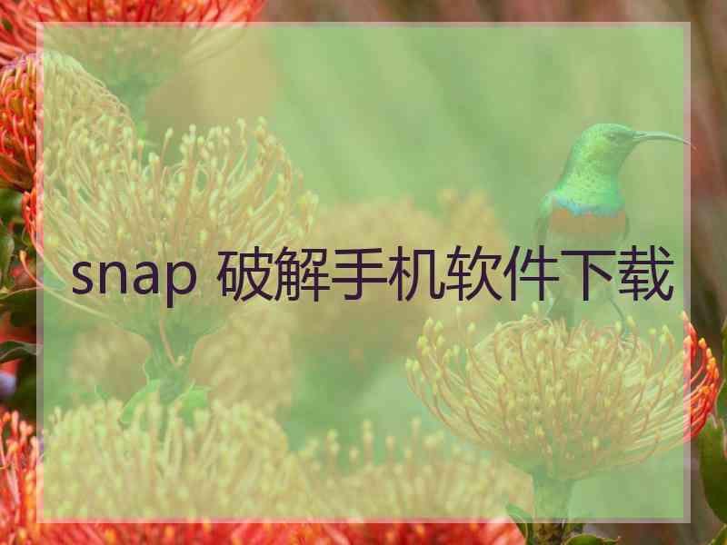 snap 破解手机软件下载