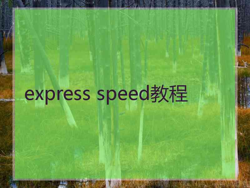 express speed教程