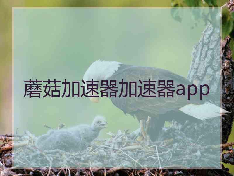 蘑菇加速器加速器app