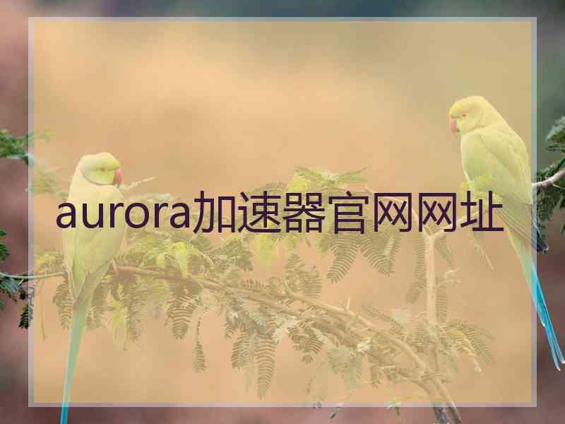 aurora加速器官网网址