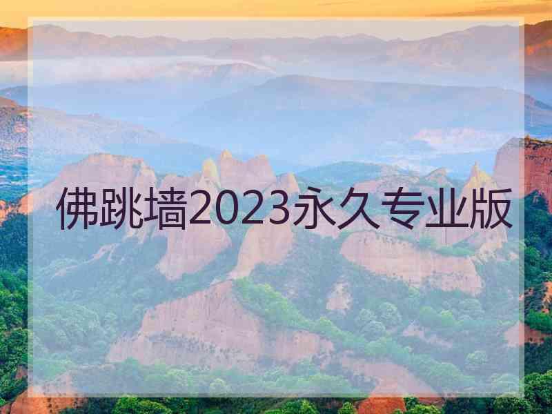 佛跳墙2023永久专业版