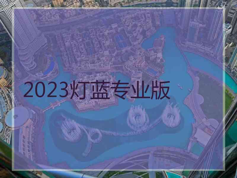 2023灯蓝专业版