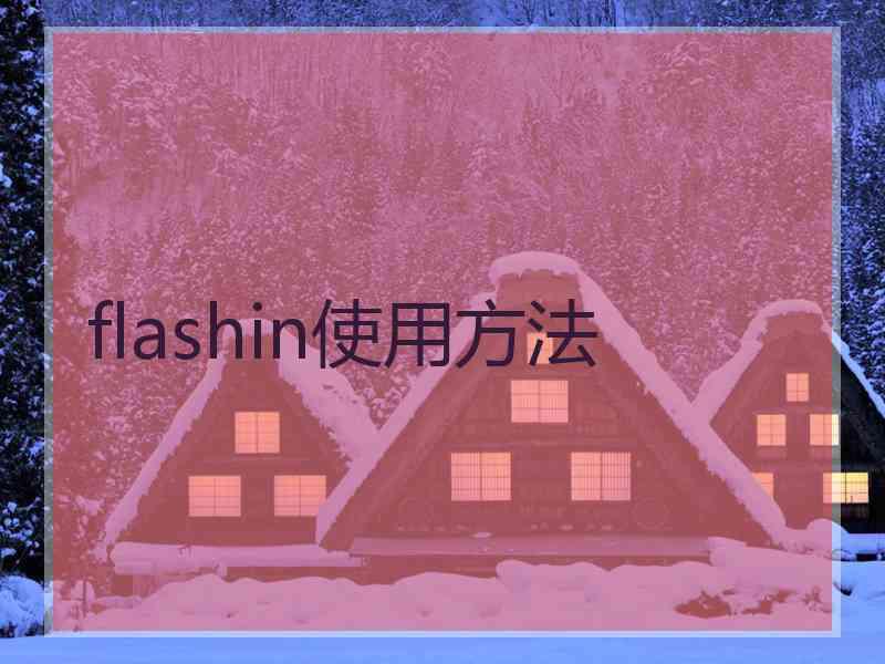 flashin使用方法