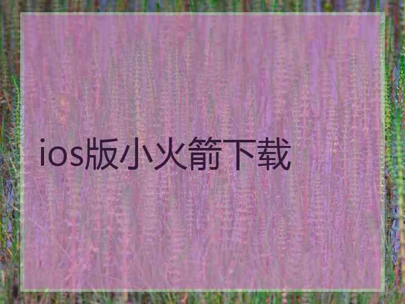 ios版小火箭下载