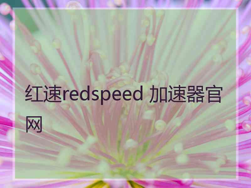 红速redspeed 加速器官网