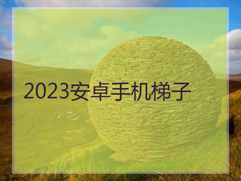 2023安卓手机梯子