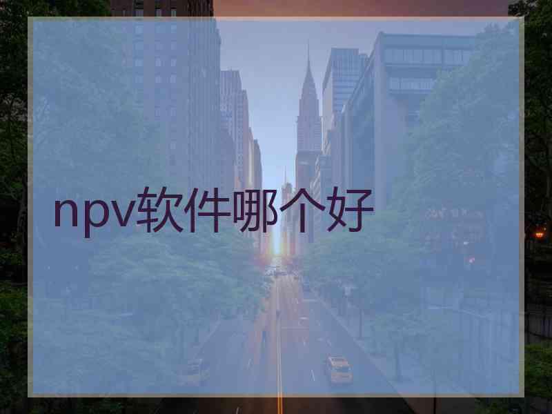 npv软件哪个好