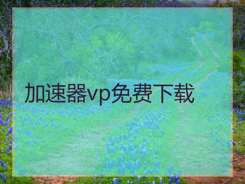 加速器vp免费下载