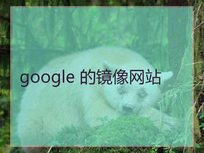 google 的镜像网站