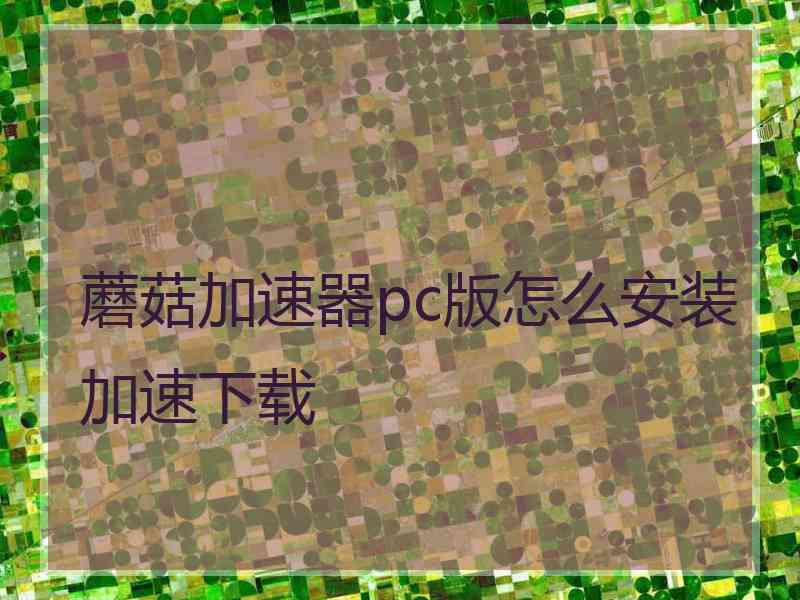 蘑菇加速器pc版怎么安装加速下载