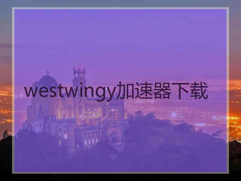 westwingy加速器下载