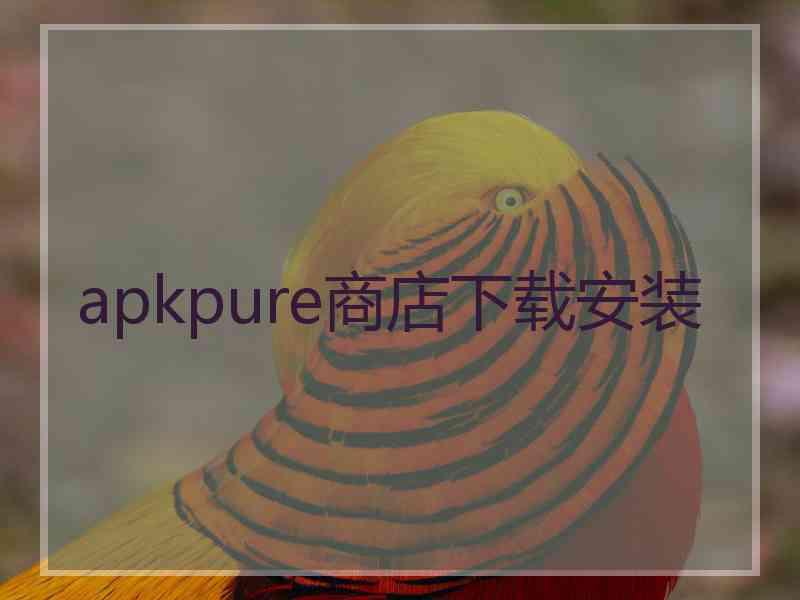 apkpure商店下载安装