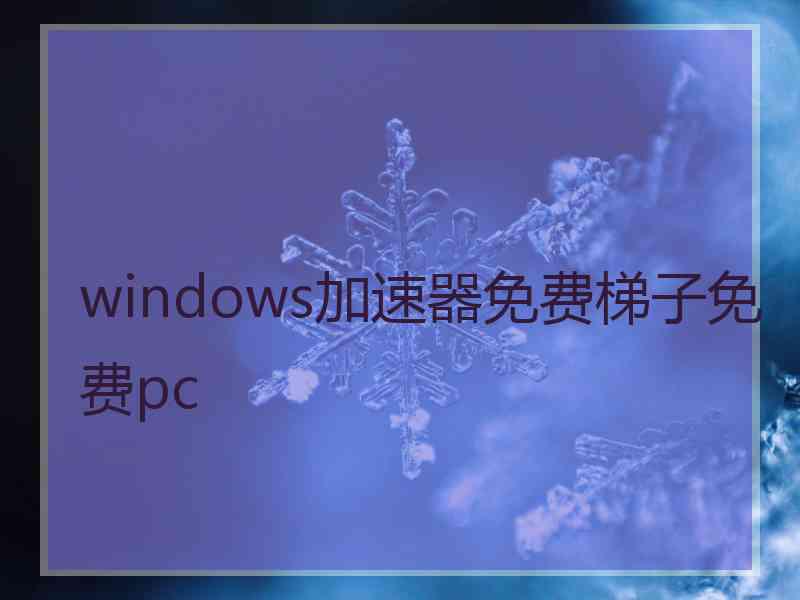 windows加速器免费梯子免费pc