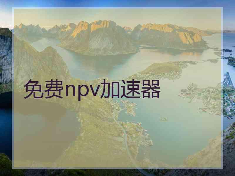 免费npv加速器