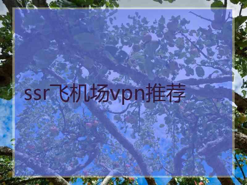 ssr飞机场vpn推荐