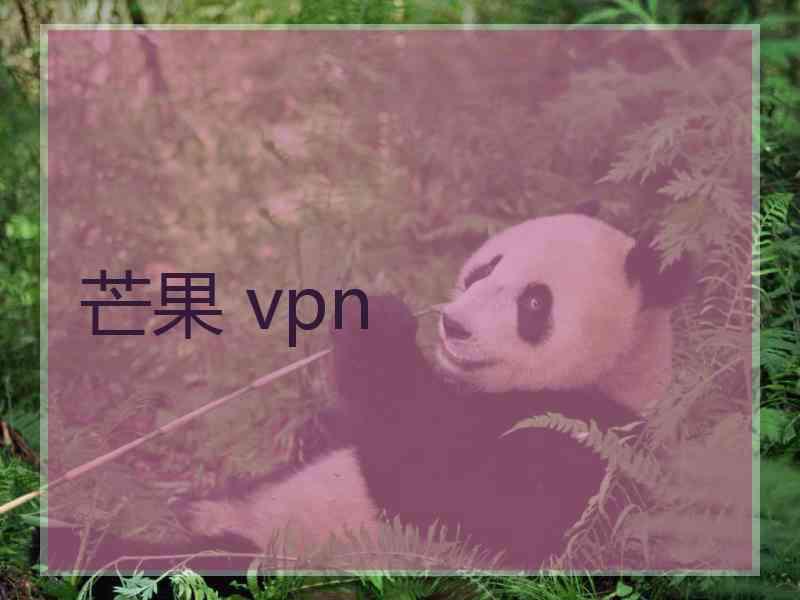 芒果 vpn