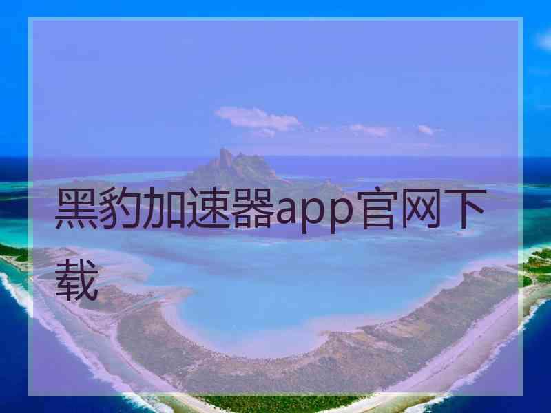 黑豹加速器app官网下载