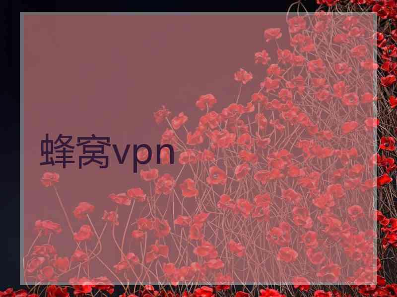 蜂窝vpn