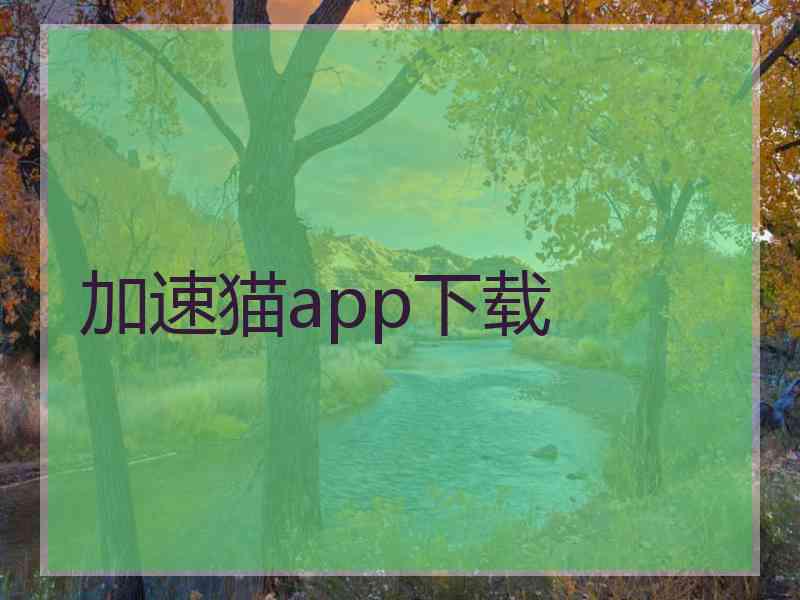 加速猫app下载