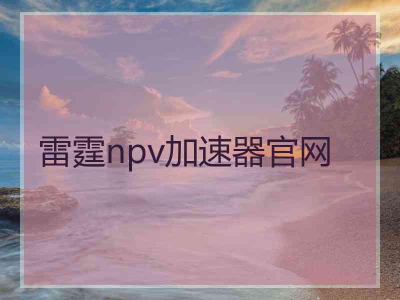 雷霆npv加速器官网